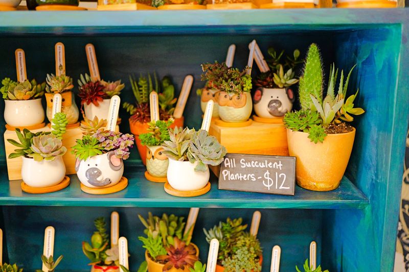 The Sweet Spot Between Market and Community Hub