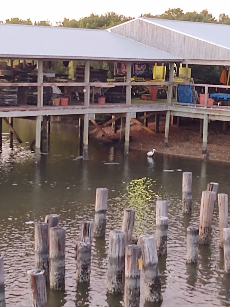 A Final Word on Why This Place Matters