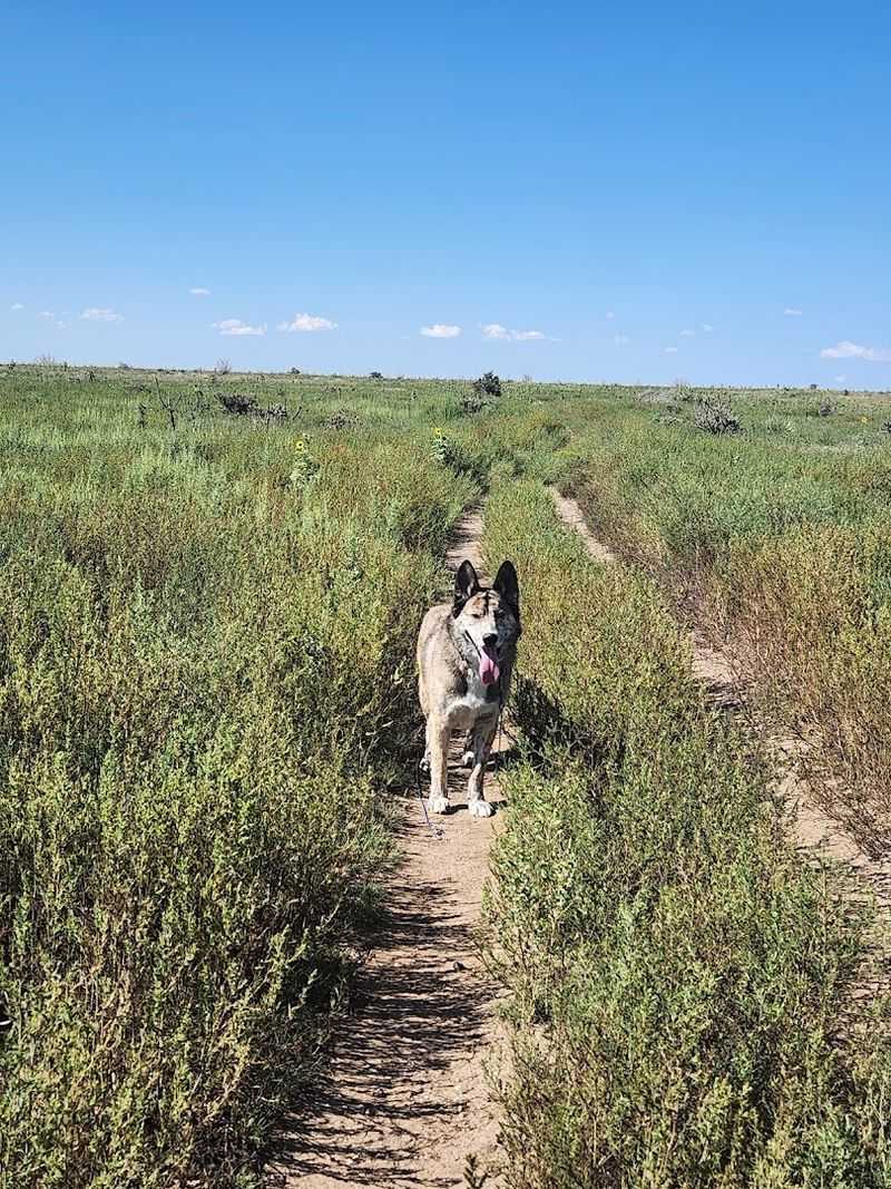 Water, Weather, and Staying Safe Out There