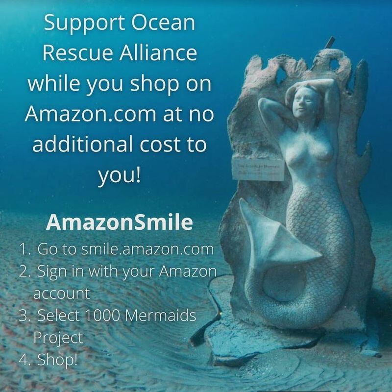 The Artists and Volunteers Who Make It Happen