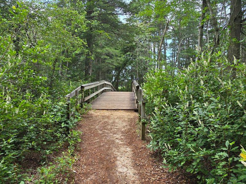 Family Visits and Kid-Friendly Features