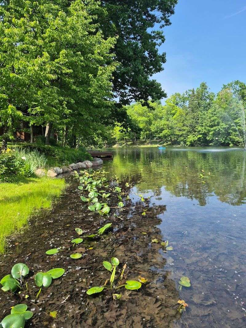Day Trips From the Resort: Warren Dunes, New Buffalo, and More