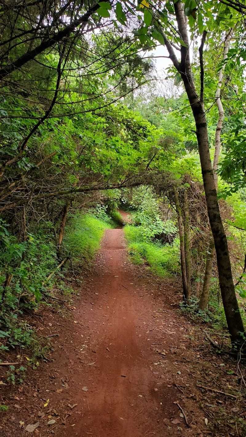 Why the Orange Trail Gets All the Attention at Night