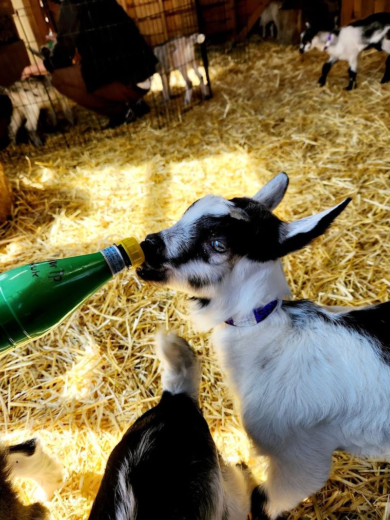 Best Time to Plan Your Visit