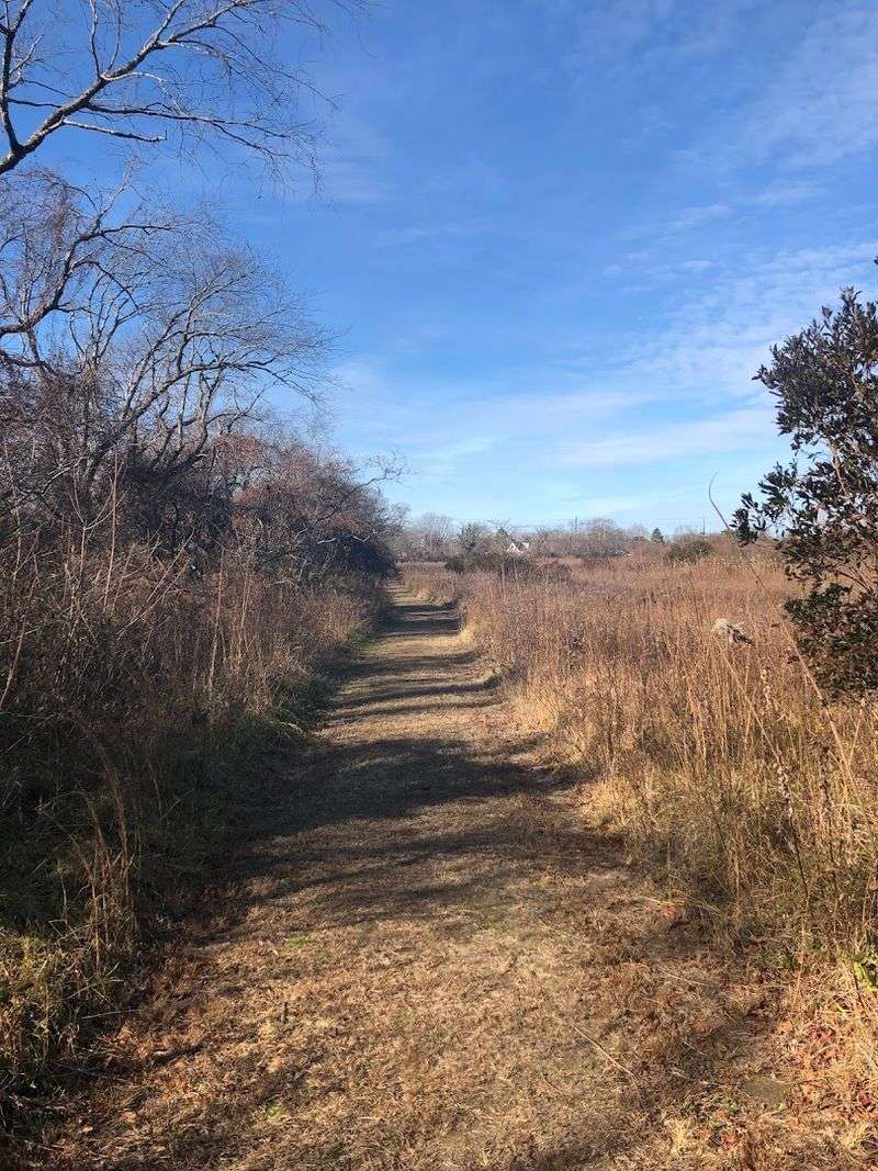 Best timing through the year