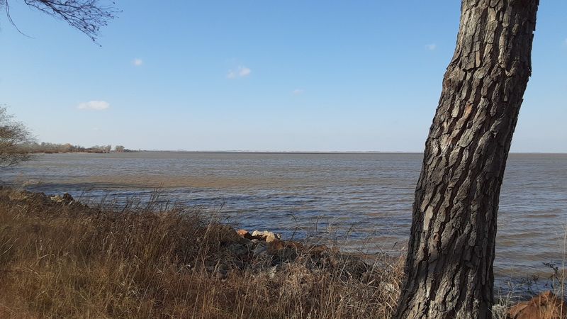 Cherokee Lake: A Quiet Spot for Fishing and Relaxation