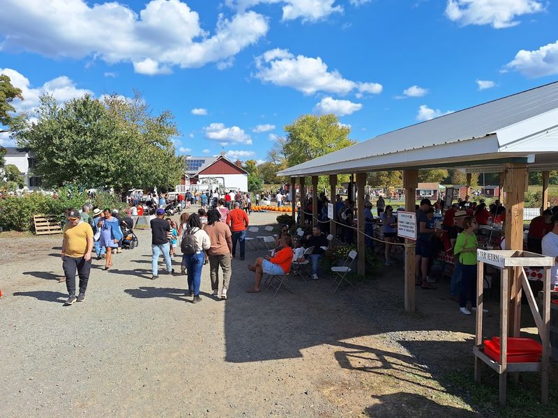 Why It Works for Groups