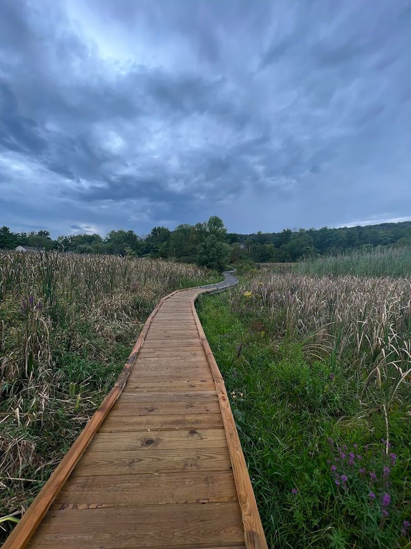 A dog friendly favorite