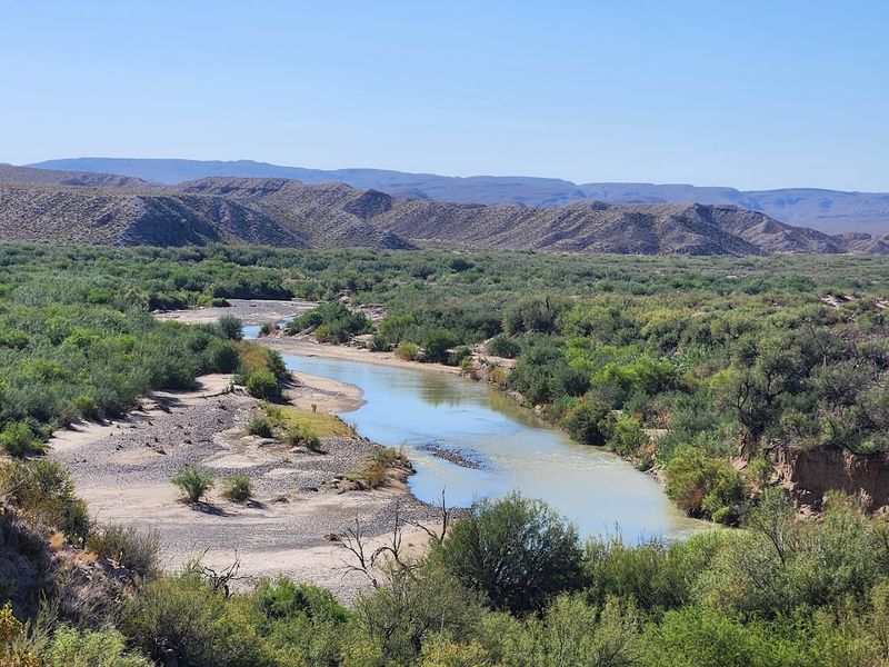 Why Snakes Thrive Here Like Nowhere Else