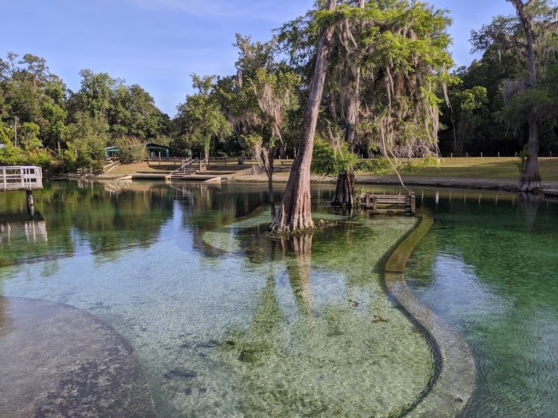 The Spring Itself and What Makes It So Special