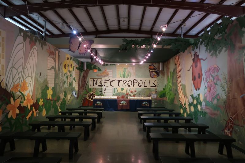 The Story Behind the Six-Legged Collection