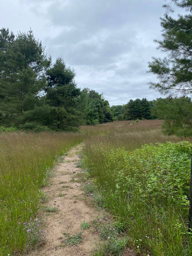 The Surprisingly Dramatic Road Just to Get There