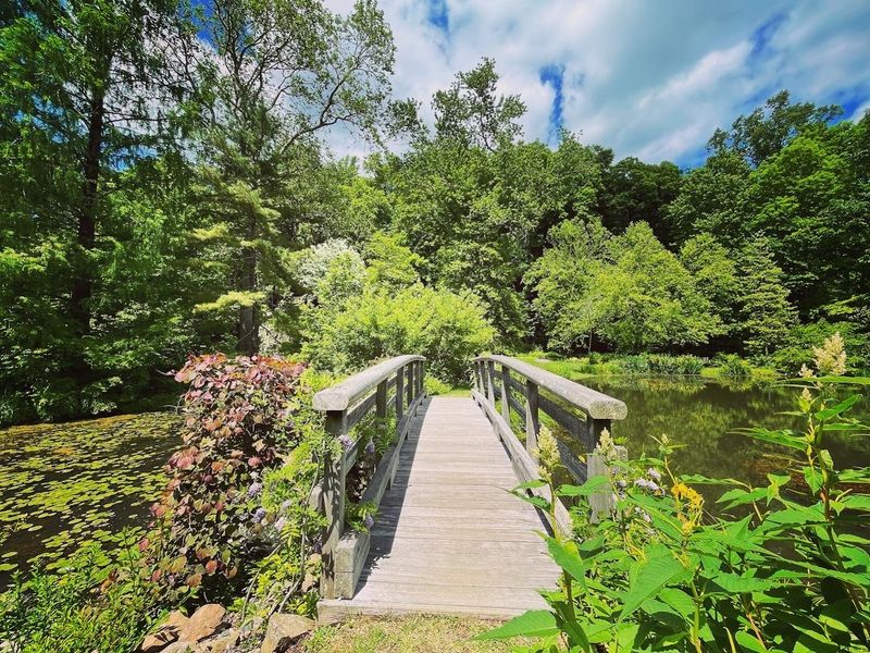 The Story Behind Leonard J. Buck Garden