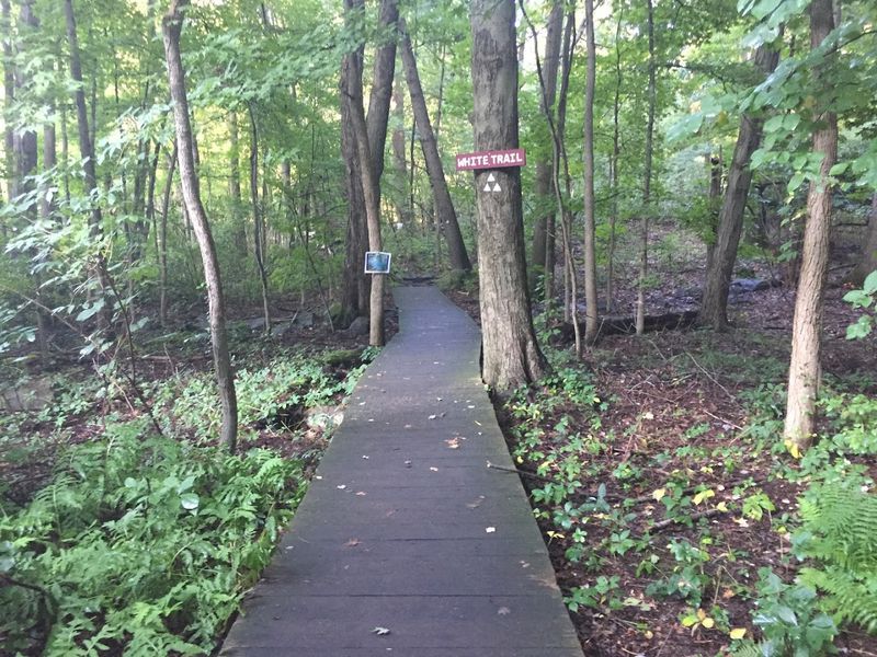 A Nonprofit With More Than Six Decades of History