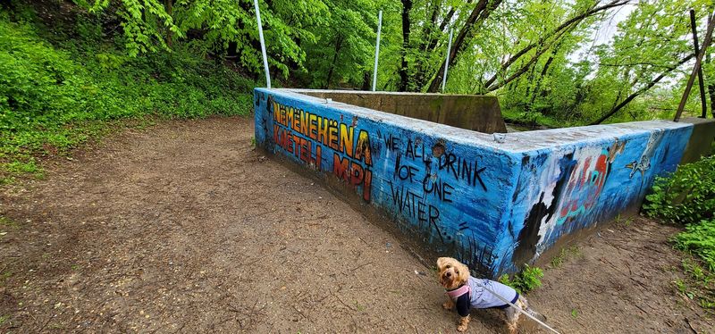 The Amusement Park That Time Forgot