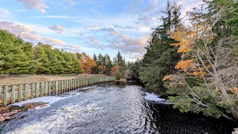 The Story Behind That Unforgettable Name