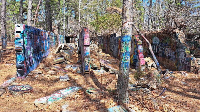 The 1905 Dream That Never Came True