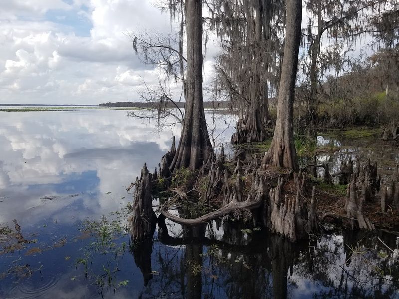 A Brief History of This Military Wilderness