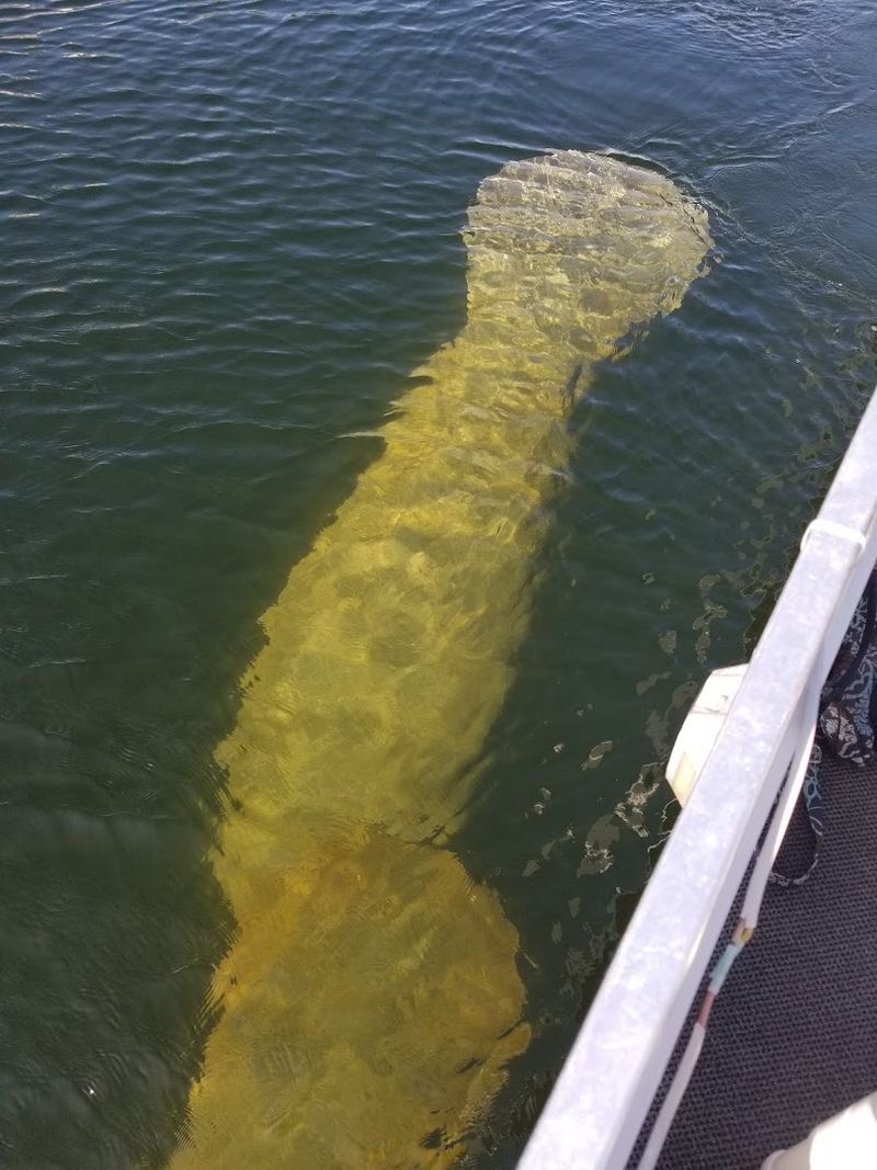 The Fascinating History Behind the Lab