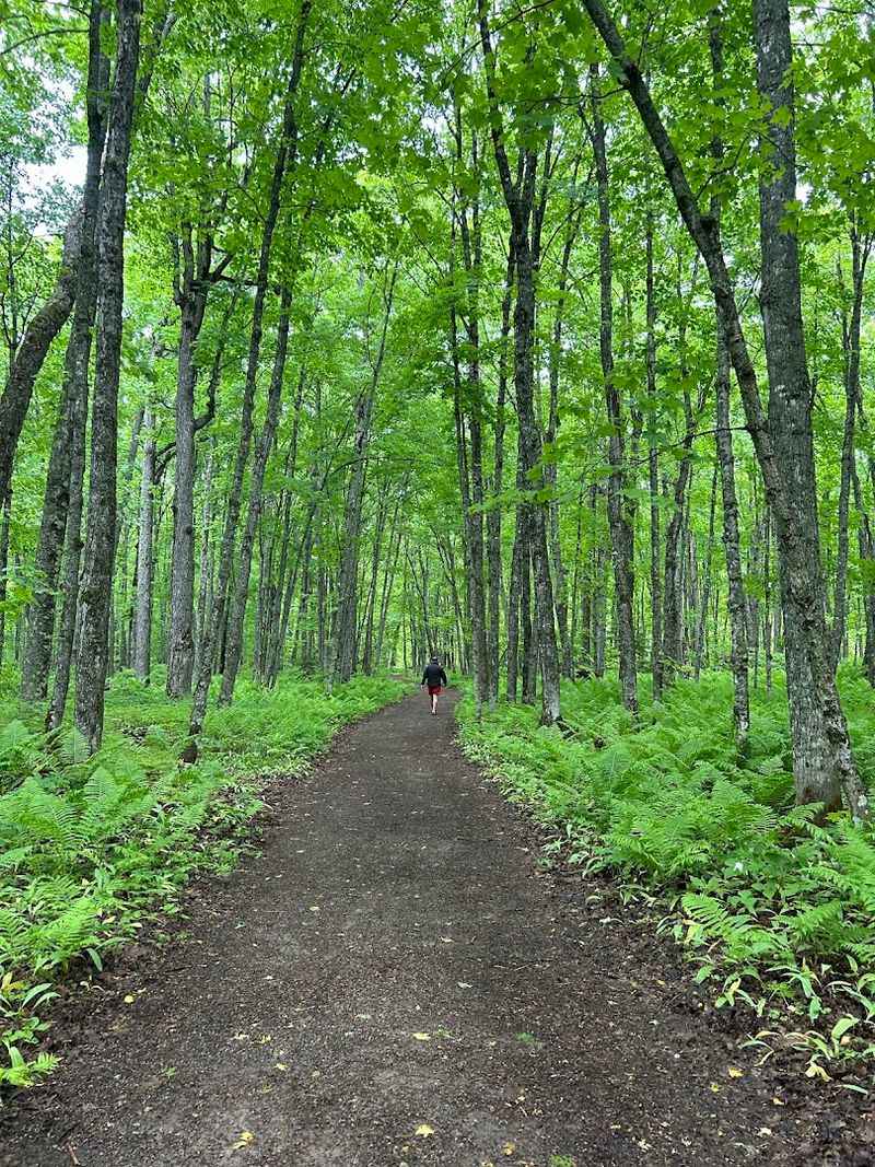 The Half-Mile Walk That Builds Perfect Anticipation
