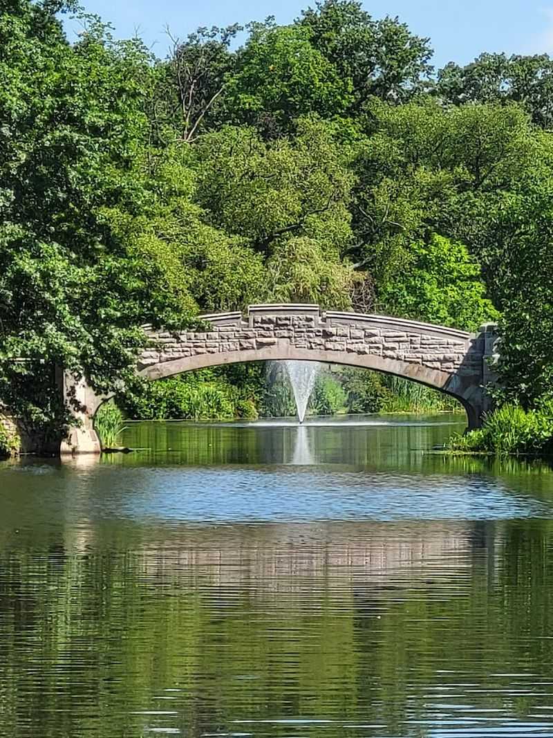 A Park With Deep Roots