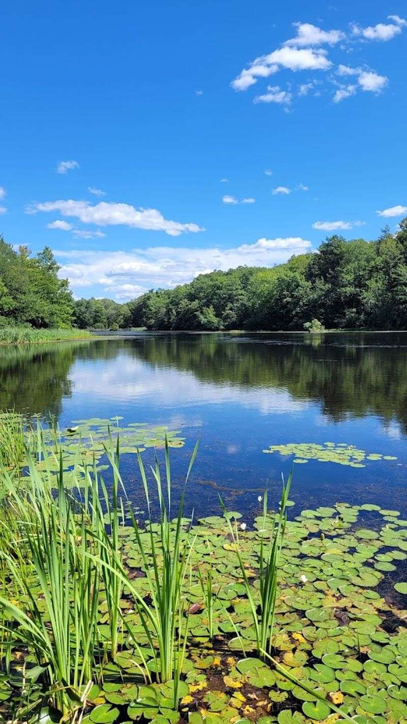 The Lake Itself: What You Are Actually Looking At