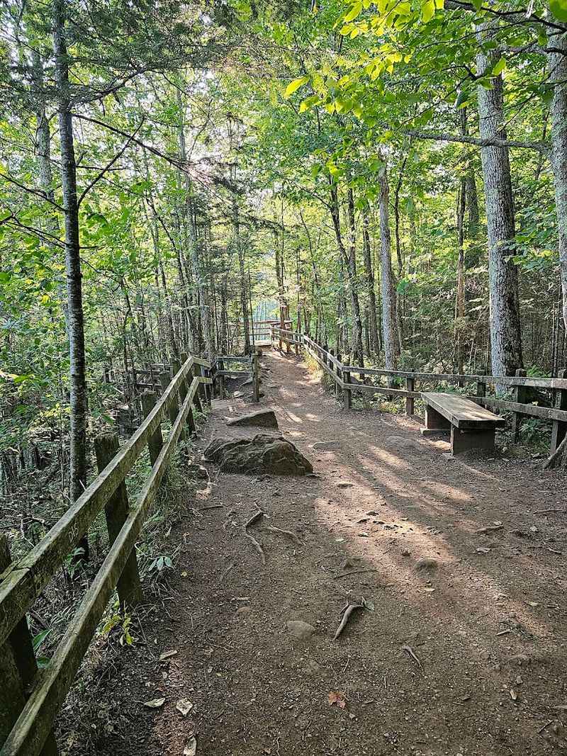 The Trail That Gets You There