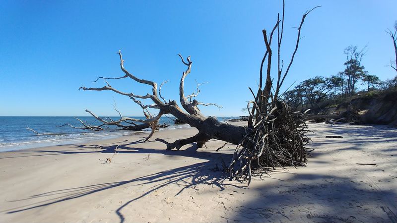 The Story Behind the Eerie Name