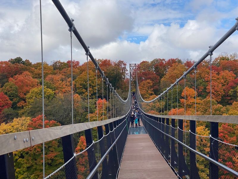 The Story Behind the World Record Bridge