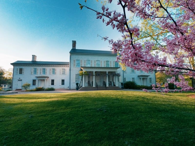 The Name Behind the Dream