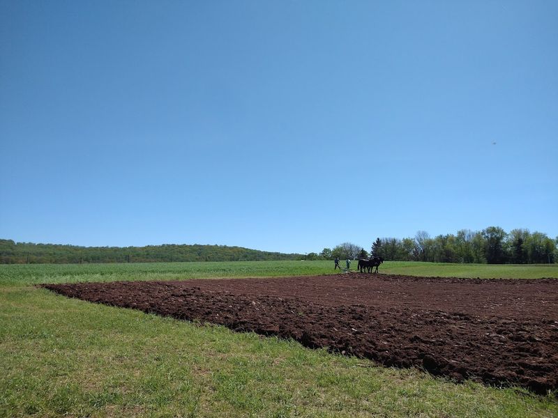 A Farm That Actually Farms