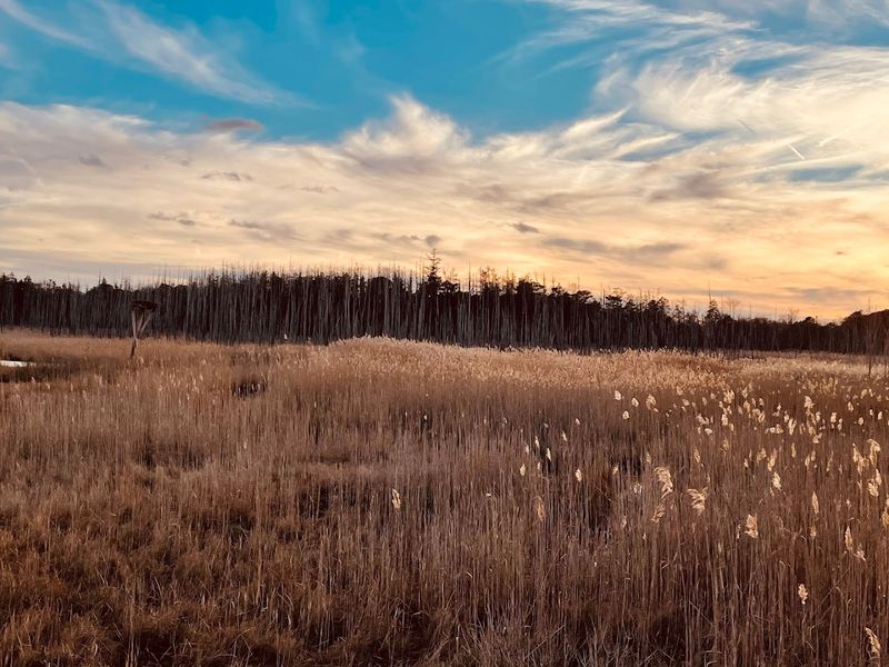 Why It Feels Removed