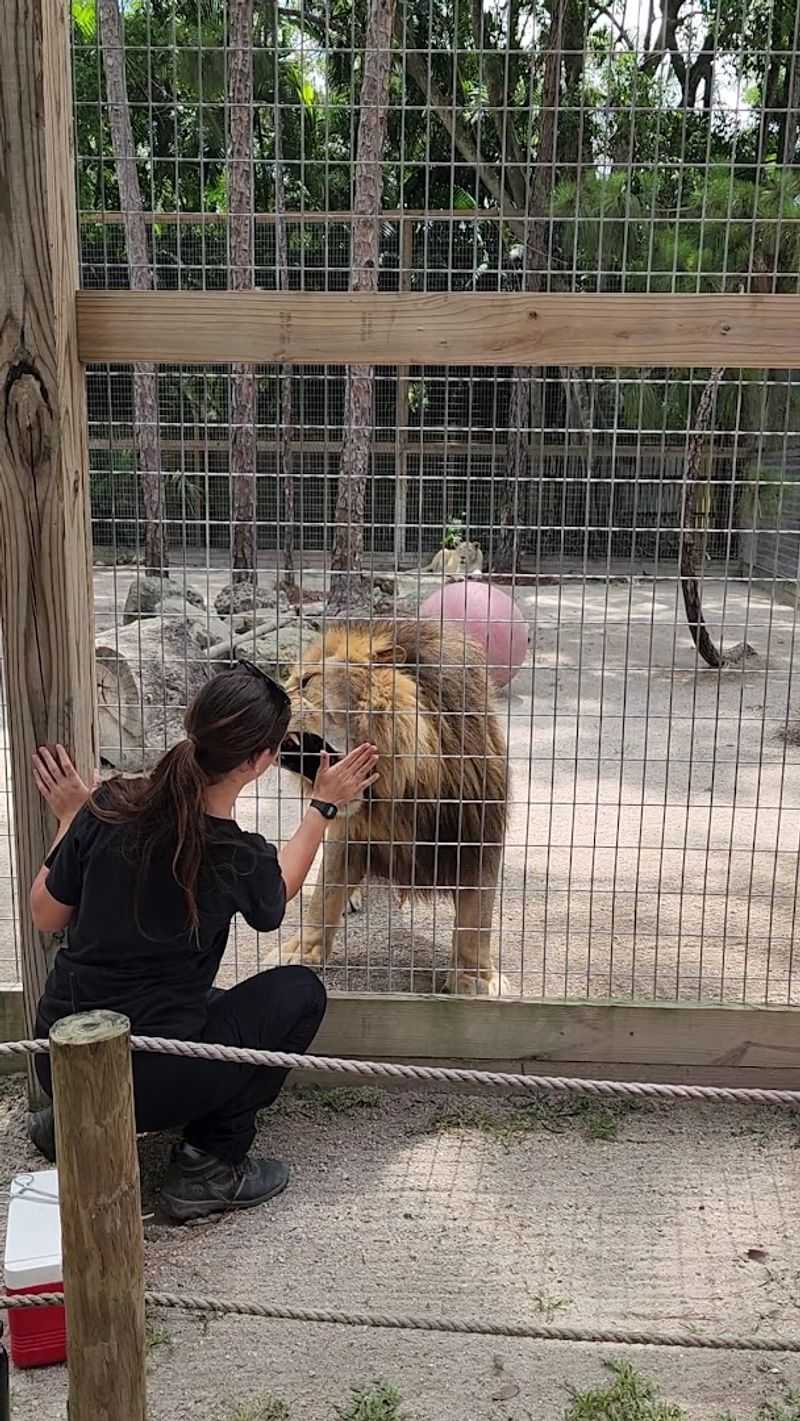 The Story Behind the Sanctuary: How It All Started