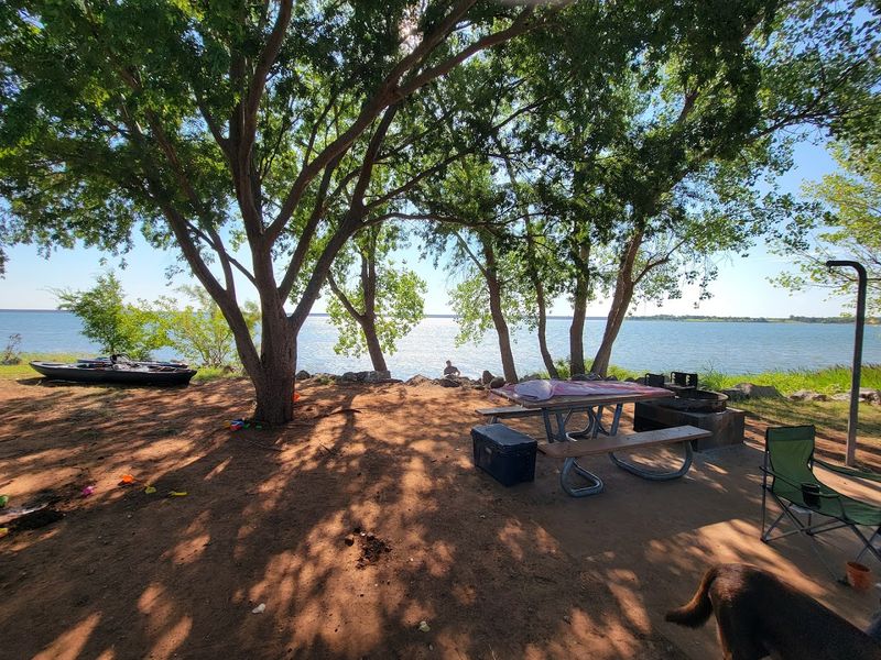 Cedar Point Campground: The Crown Jewel of the Park