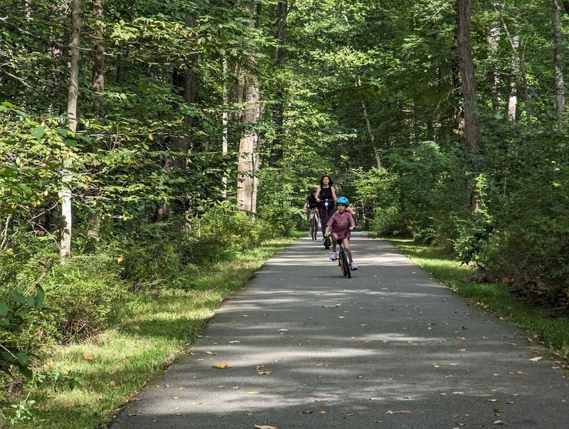 Eight Miles of Trail Variety