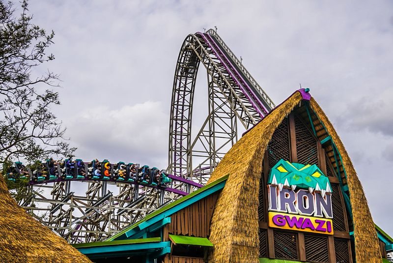 Iron Gwazi and SheiKra: The Rides That Steal the Show