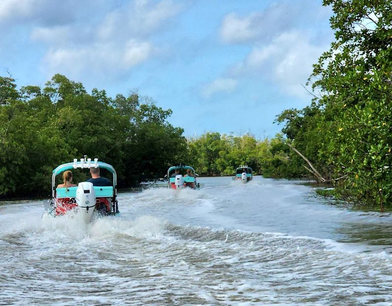 The CraigCat Experience: What You Are Actually Driving