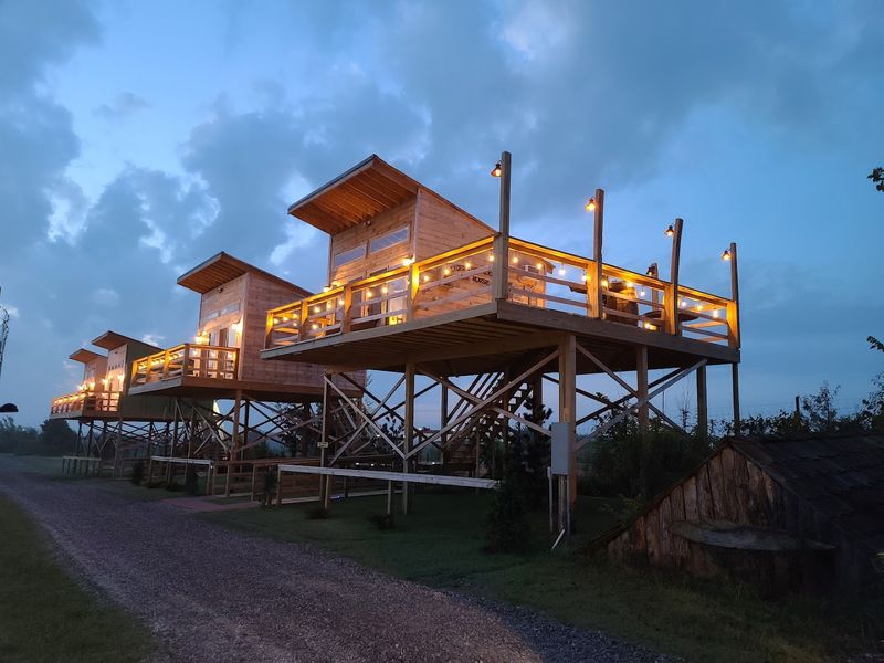 The Treehouses: Sleeping Above the Safari