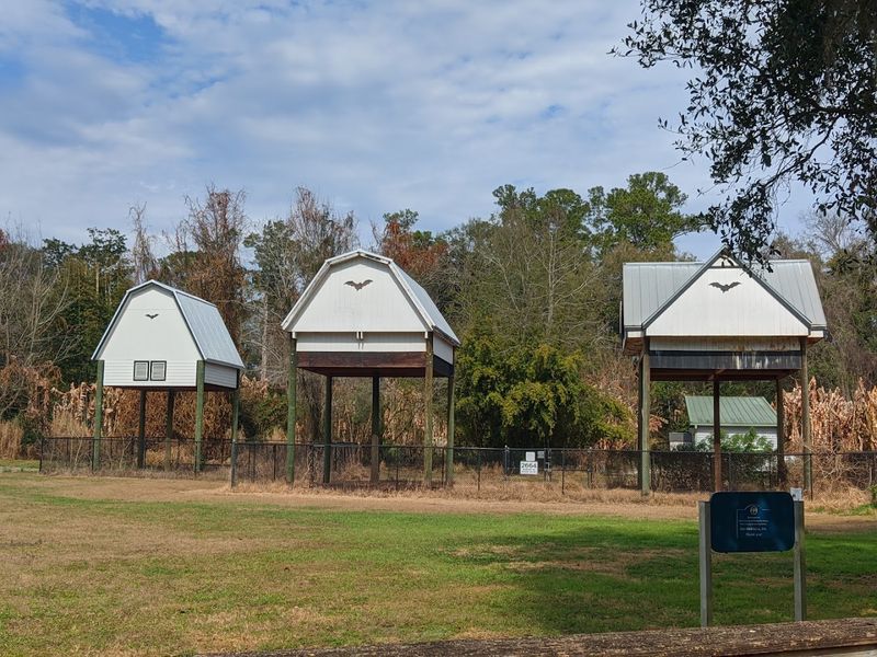 The Bat Houses Themselves: A Closer Look at the Structures