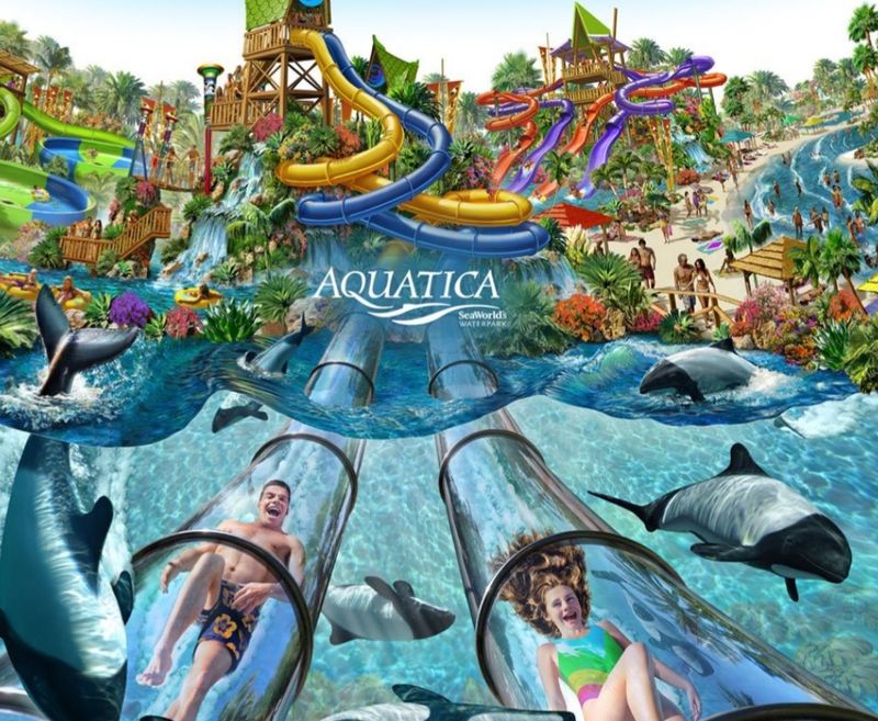 The Dolphin Plunge: The Ride That Makes This Park Unforgettable