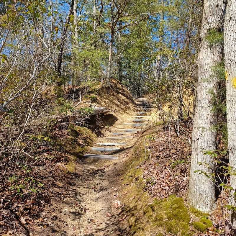 Five Miles of Trails That Connect Like Puzzle Pieces