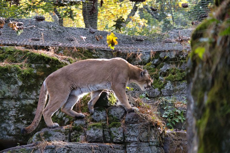 A Zoo That Punches Above Its Size