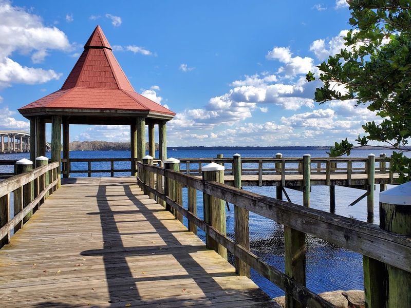 The St. Johns River: Palatka's Living Backyard