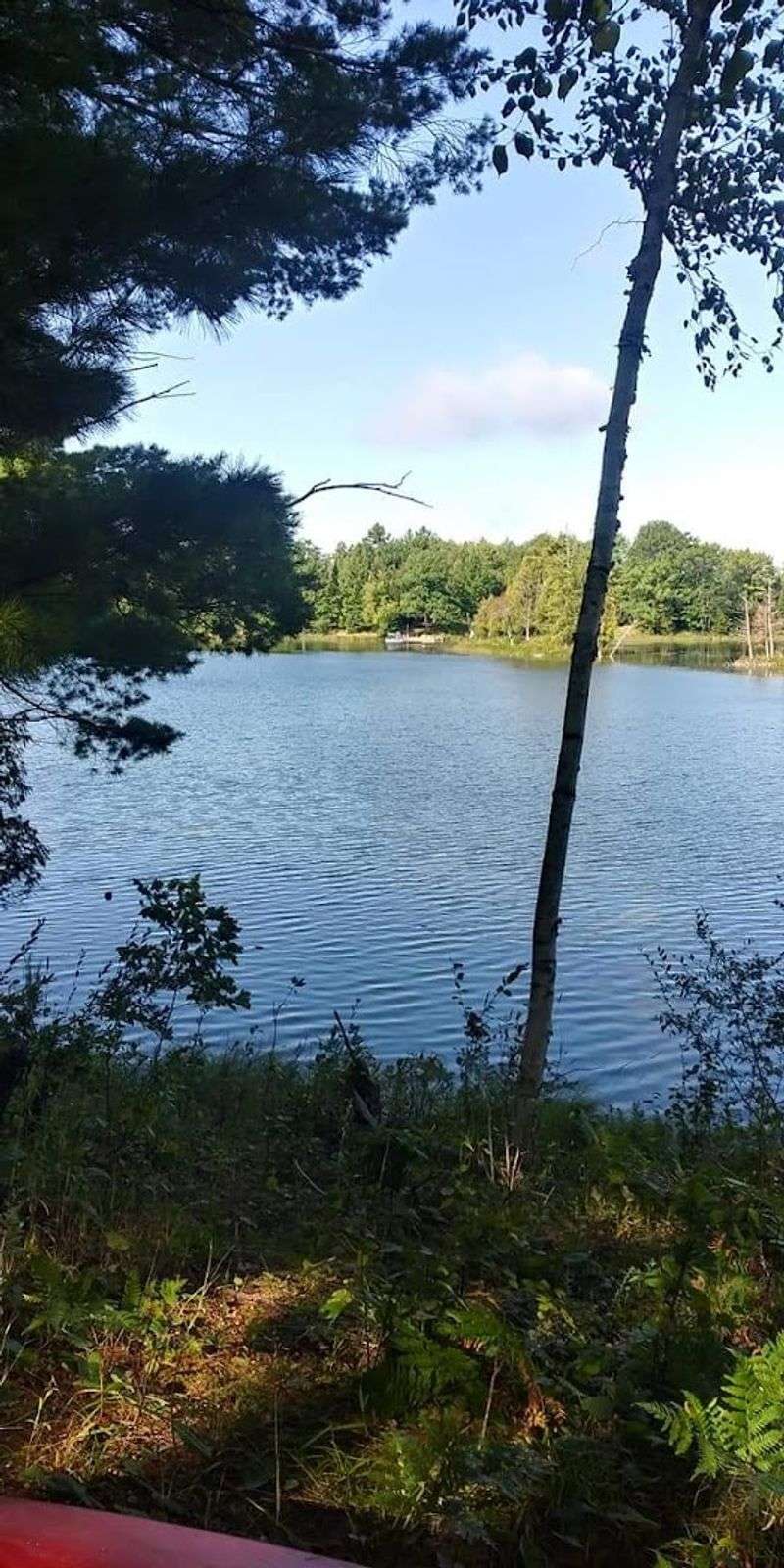 The Rifle River Recreation Area Right on the Doorstep