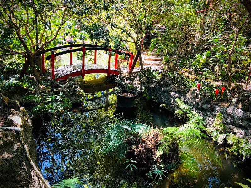 From Quarry to Garden: The Origin Story