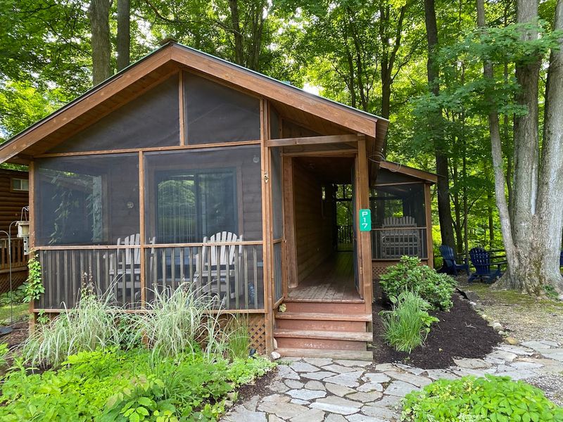The Cabins Themselves: Pine Walls, Lofts, and Screened Porches That Steal the Show