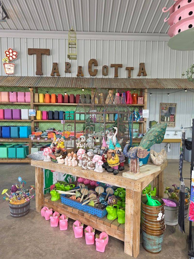 The Story Behind the Shop