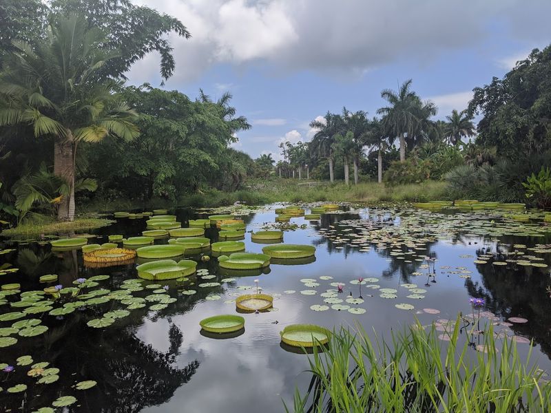 A History Rooted in Botanical Beauty