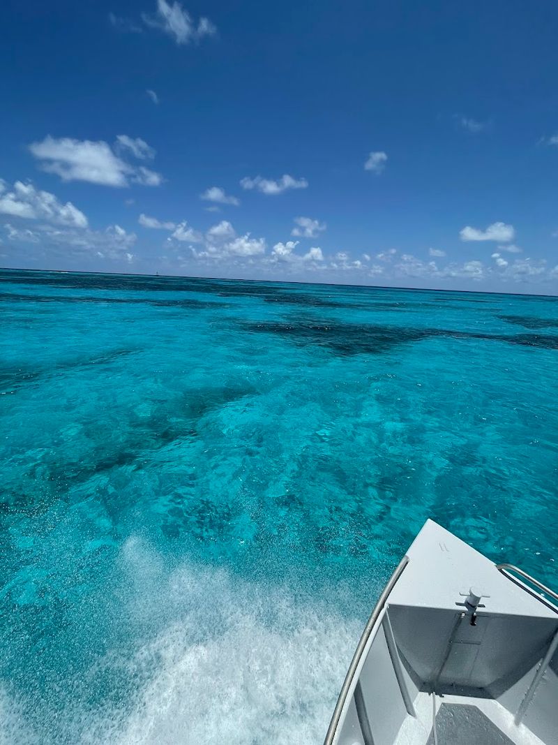 The Only Living Coral Reef in the Continental United States