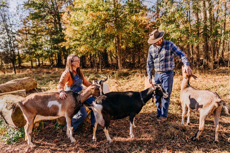 The Story Behind the Creamery